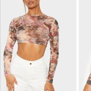 Renaissance Mesh Crop Top